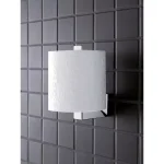GROHE Selection Cube Wall-Mount Toilet Paper Holder with Reserve - StarLight Chrome thumbnail 2