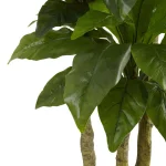Nearly Natural 5 ft. UV Resistant Artificial Bird Nest Fern Tree - Indoor/Outdoor thumbnail 3