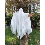 Worth Imports 35 in. Hanging Ghost Decorations, Set of 2 - White Gauzy Halloween Hanging Decor thumbnail 2