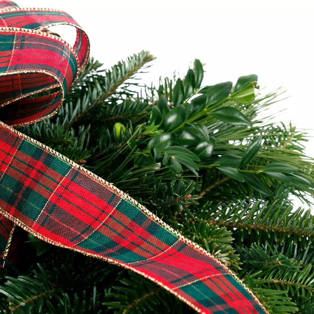 VAN ZYVERDEN 16 in. Live Fresh Cut Blue Ridge Mountain Mixed Evergreen Christmas Wreath with Red Bow