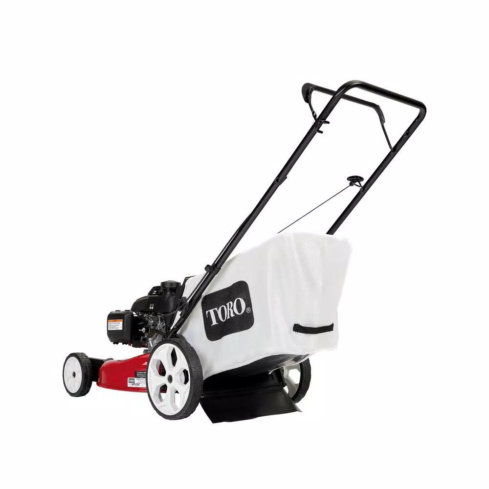 Toro Recycler 21 in. Gas Walk Behind Push Lawn Mower with 160 cc Honda Engine