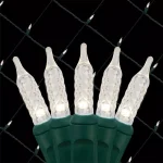 Wintergreen Lighting 48 in. x 72 in. 100-Light M5 LED Cool White Net Light Set thumbnail 1