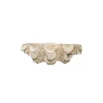 3R Studios Coastal Style Shell Shaped Ceramic Figurine - Gray Decorative Dish thumbnail 4