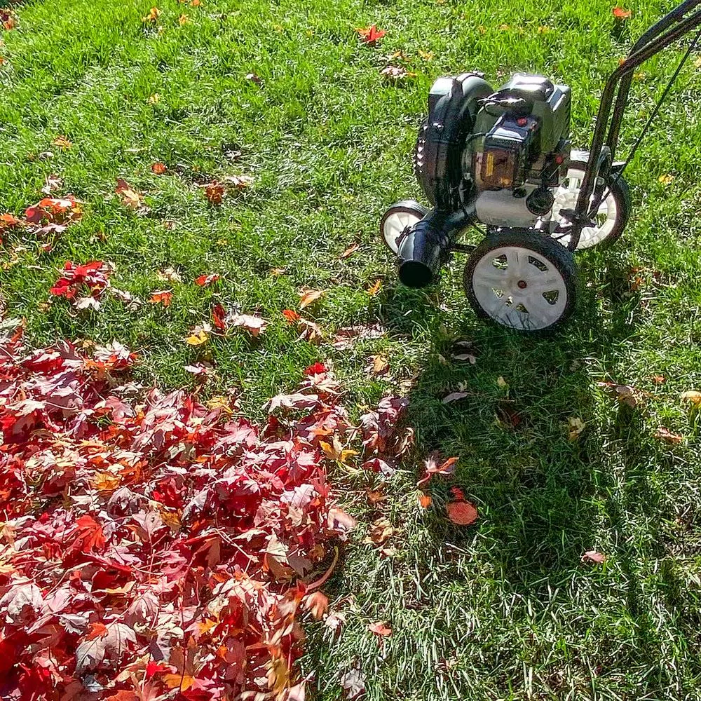 Sportsman 52 cc Gas Powered Walk-Behind Leaf Blower, 230 MPH, 450 CFM