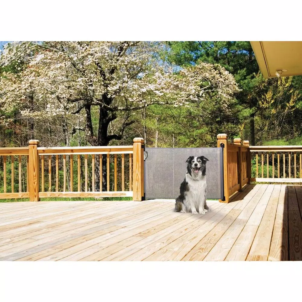 Dreambaby Retractable Indoor/Outdoor Safety Gate, Grey, Fits Up to 55 in. Wide