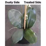 Screen Magic Silk Plant Magic Artificial Plant Cleaner and Dust Repellent, 32 oz thumbnail 3