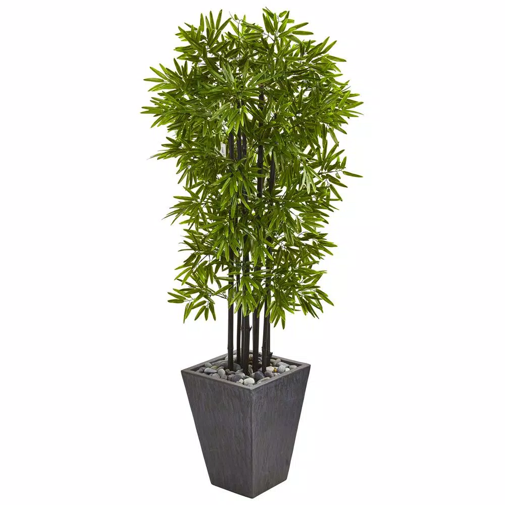 Nearly Natural 61 in. Artificial Bamboo Tree with Black Trunks and Slate Planter, UV Resistant Indoor/Outdoor