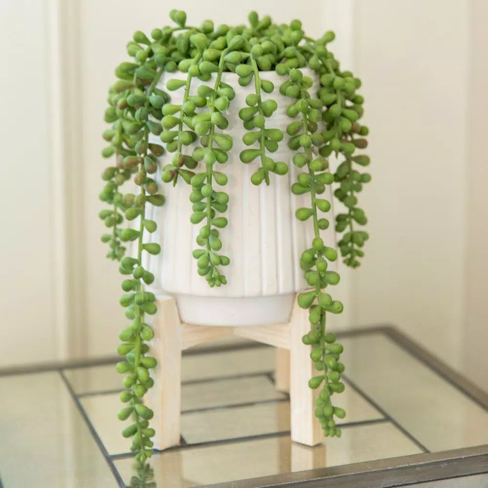 Flora Bunda 10 in. Faux Donkey Tail Succulent in White Ceramic Planter with Wood Stand