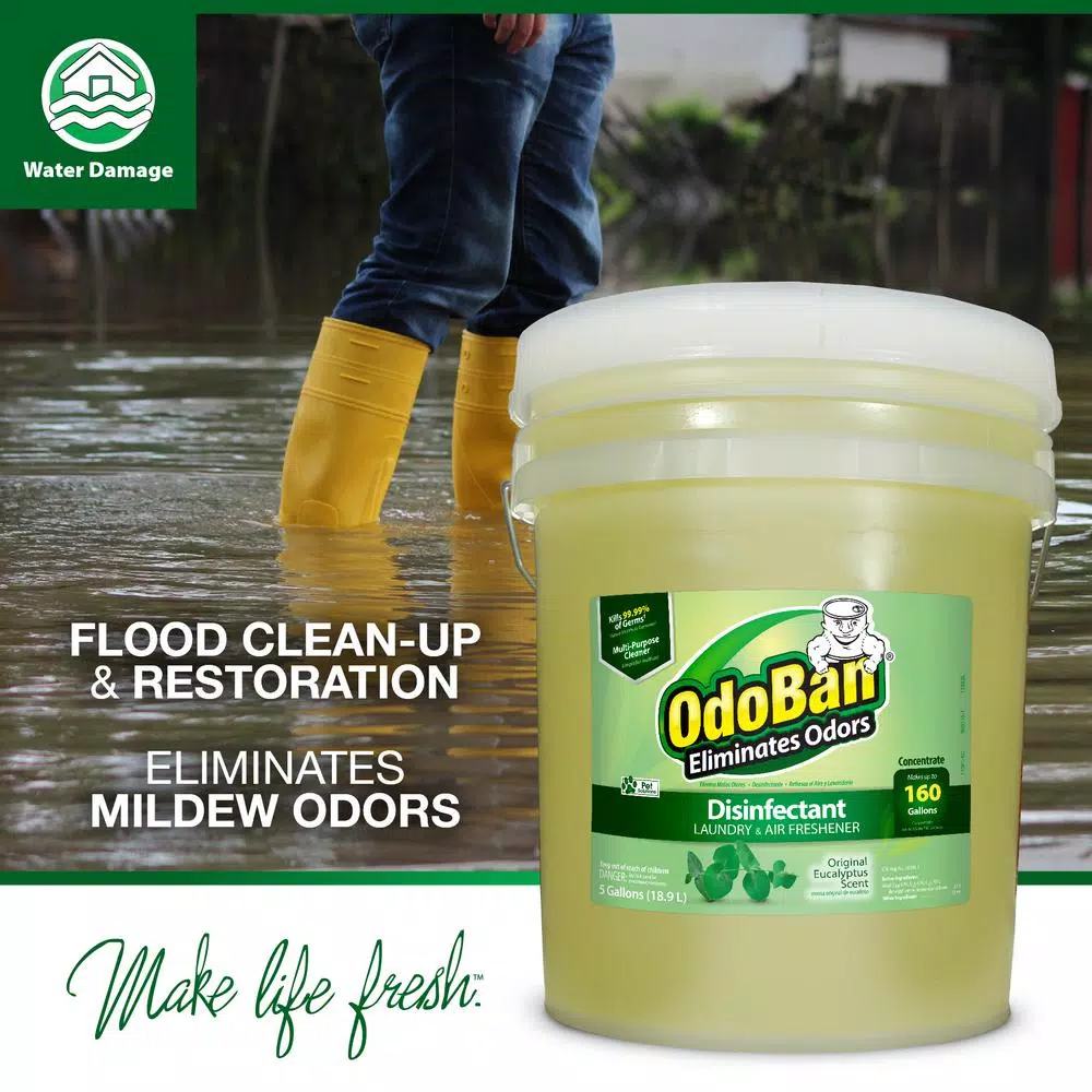 OdoBan Eucalyptus Multi-Purpose Disinfectant & Odor Eliminator Concentrate, 5 Gal.