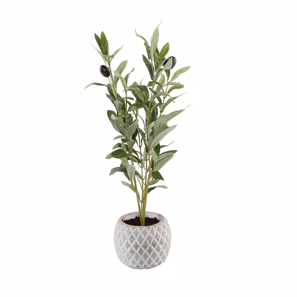 Flora Bunda 14 in. Faux Olive Branch in White Pineapple Pattern Cement Pot