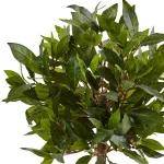 Nearly Natural Indoor Sweet Bay Mini Topiary Artificial Tree in White Grecian Ceramic Urn thumbnail 2