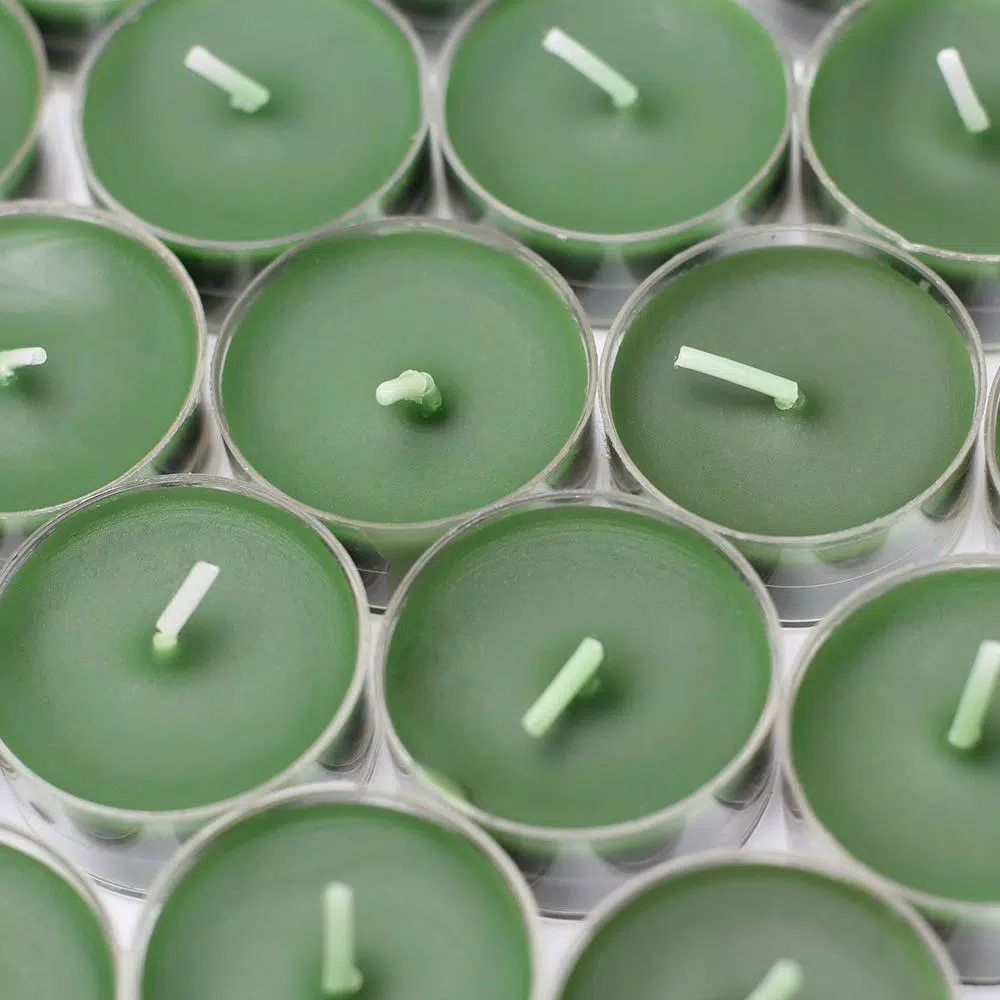 Zest Candle Hunter Green Tealight Candles, 1.5 in. Diameter, 50-Pack