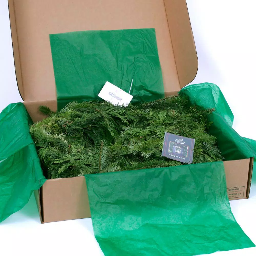 VAN ZYVERDEN 25 ft. Fresh Cut Pacific Northwest Douglas Fir and Western Red Cedar Mix Coil Garland