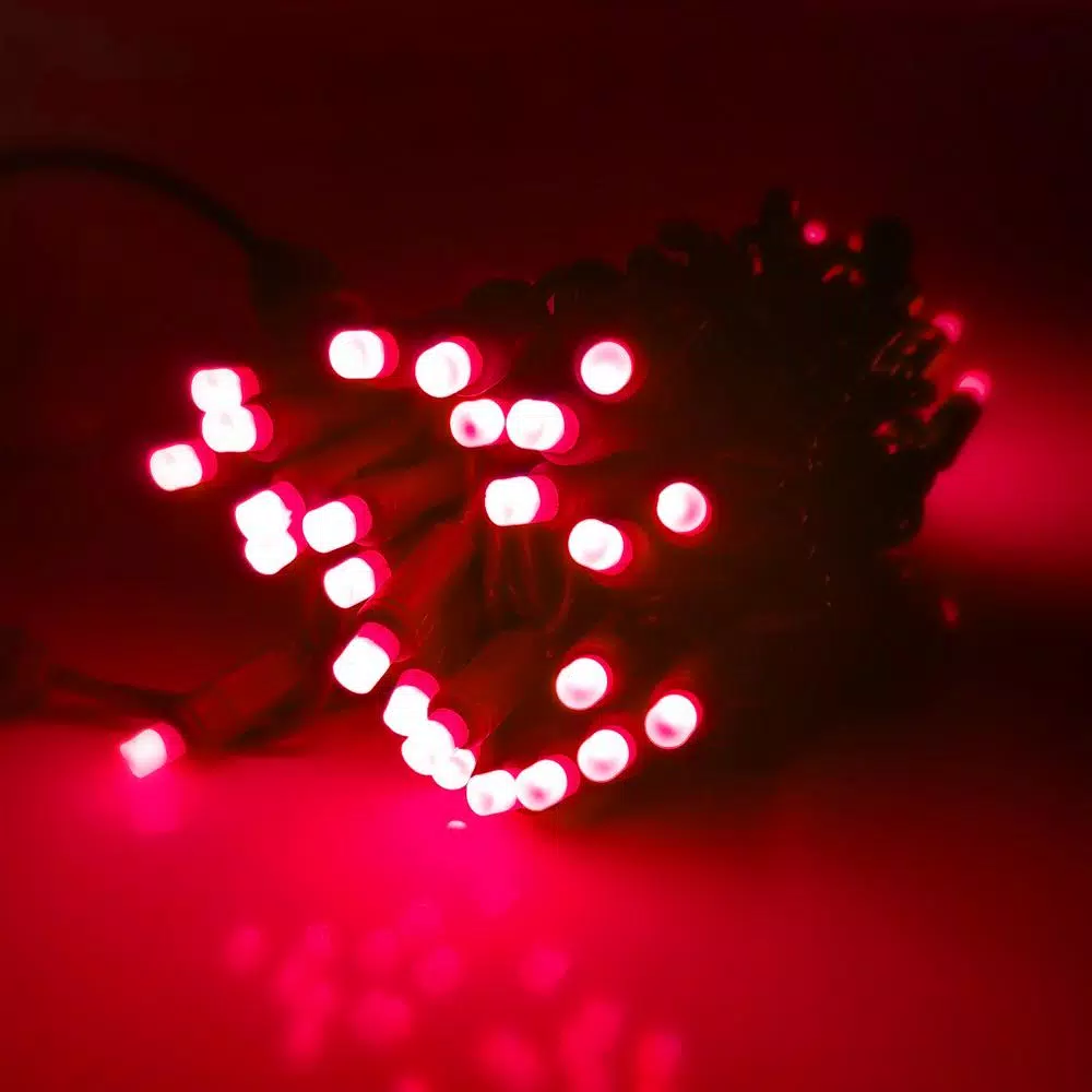 HOLIDYNAMICS HOLIDAY LIGHTING SOLUTIONS 50-Light RGB LED String Lights, 5 mm Frosted Bulbs, 4 in. Spacing, Green Cord