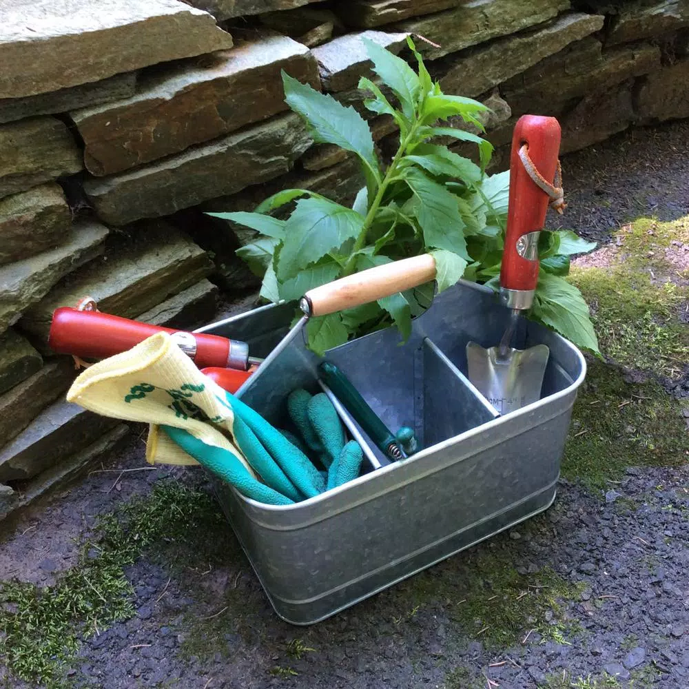 Artland Oasis Carry All Galvanized Iron Condiment Server and Garden Caddy, Silver