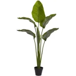 Nearly Natural 63 in. UV Resistant Indoor/Outdoor Artificial Travelers Palm Tree with Black Pot thumbnail 1